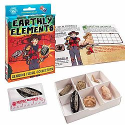 Earthly Elements: Fossil Collection