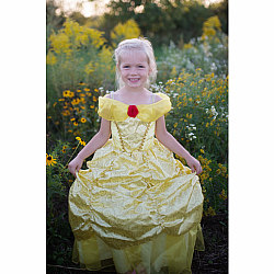 Deluxe Belle Gown (Size 5-6)