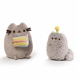 Pusheen & Stormy B-Day Set