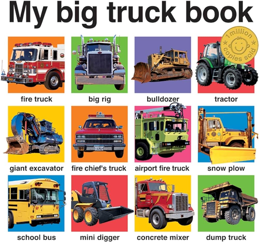 My Big Truck Book