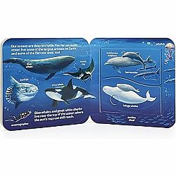 Peek a Flap! Ocean