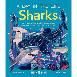 Sharks (A Day in the Life): What Do Great Whites, Hammerheads, and Whale Sharks Get Up To All Day?