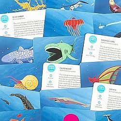 Deep Sea Discovery: A Card Game for Ocean Explorers