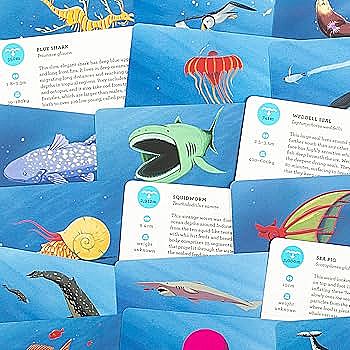 Deep Sea Discovery: A Card Game for Ocean Explorers