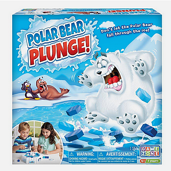 Polar Bear Plunge!