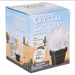Edu-Stem Growing Crystal Cactus Kit