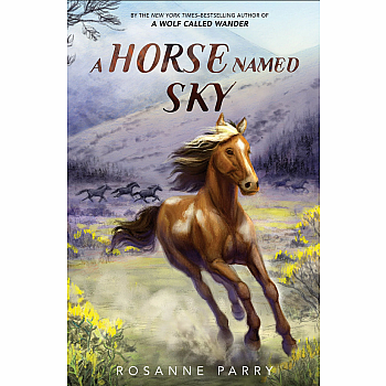 A Horse Named Sky