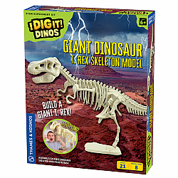 Giant Dinosaur Skeleton Kit