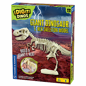 Giant Dinosaur Skeleton Kit