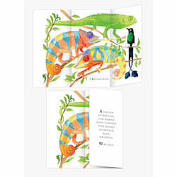 Whose Tail?: A Riddle Book with Flaps