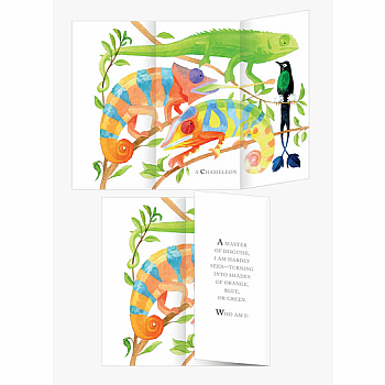 Whose Tail?: A Riddle Book with Flaps