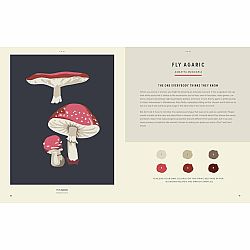 Coloready Mushrooms: 20 Modern Paint-by-Number Prints
