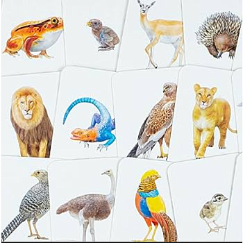 Animal Family Match: A Matching Memory Game