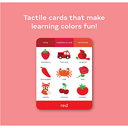 TouchWords: Color Cards: Touch and Feel
