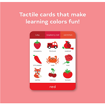 TouchWords: Color Cards: Touch and Feel