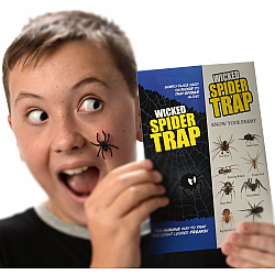 Wicked Pranks and Jokes